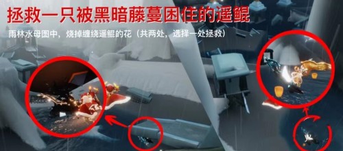 光遇11月6日每日任务怎么做 光遇2022.11.6每日任务图文攻略