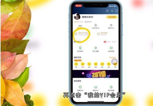 爱奇艺自动续费如何取消  爱奇艺取消自动续费攻略