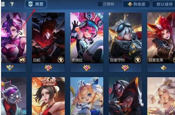 王者荣耀阵营在哪里看