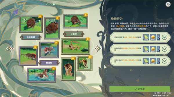 原神雕琢童心掠影拾真第三天攻略