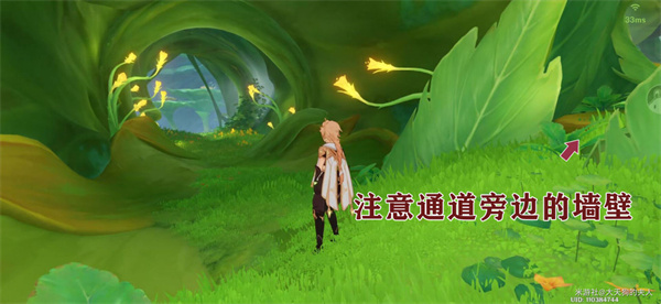 原神调查走廊深处的庭院攻略