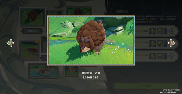 原神雕琢童心掠影拾真第三天攻略