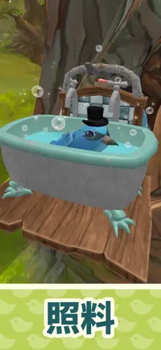 birdbnb游戏