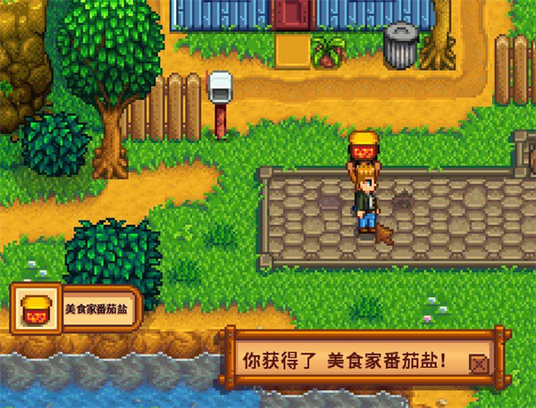 星露谷物语海盗的妻子任务怎么做
