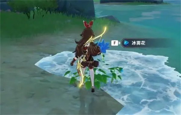 原神冰雾花花朵怎么采集