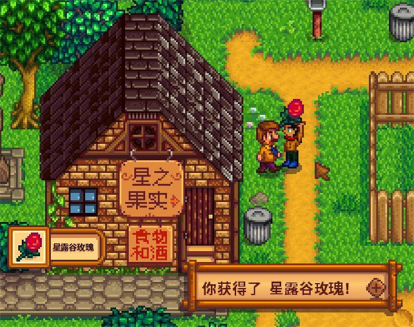 星露谷物语海盗的妻子任务怎么做