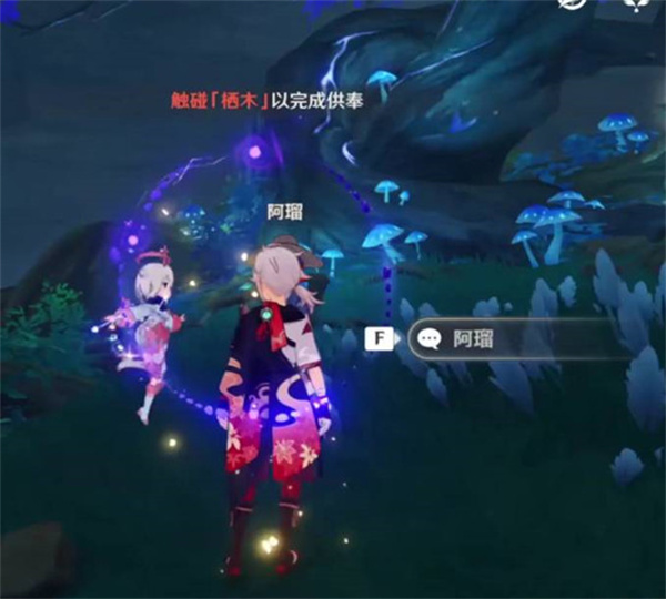 原神三个栖木位置介绍