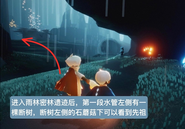 光遇雨林跪拜先祖位置一览