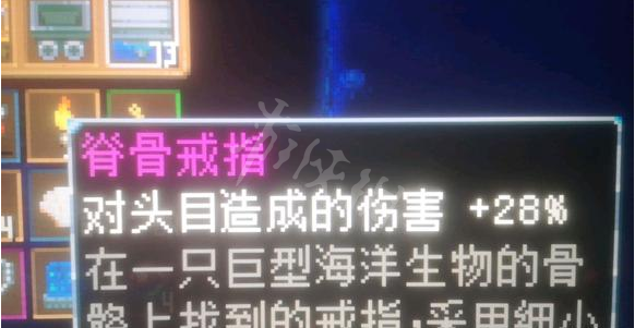 地心护核者脊骨戒指如何获得 脊骨戒指获取方法介绍