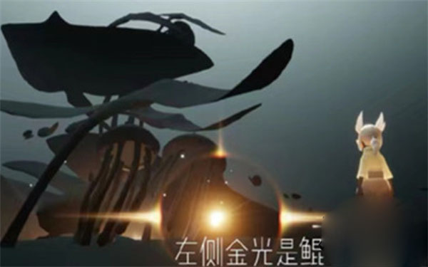 光遇破晓季怎么进入  破晓季进入的方法