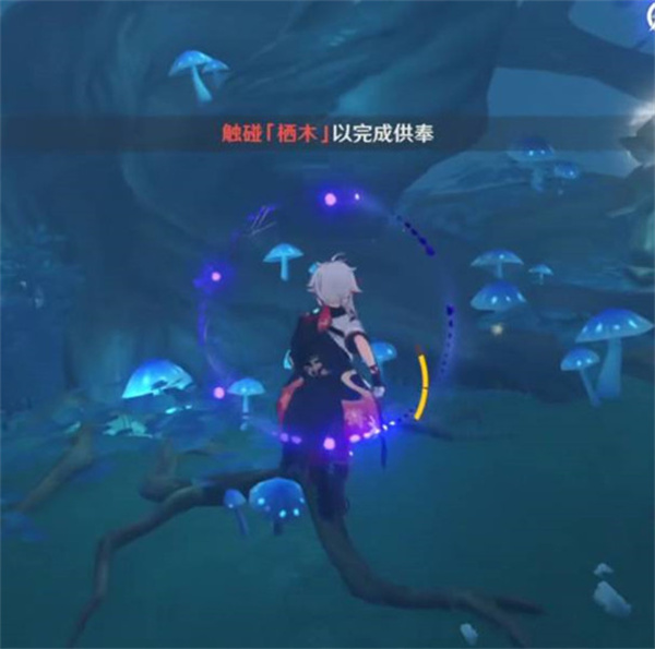 原神三个栖木位置介绍