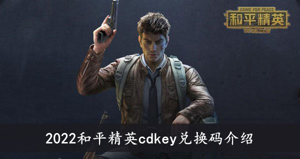 2022和平精英 cdkey兑换码介绍