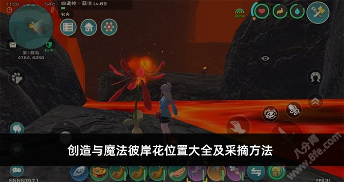 创造与魔法彼岸花位置大全及采摘方法
