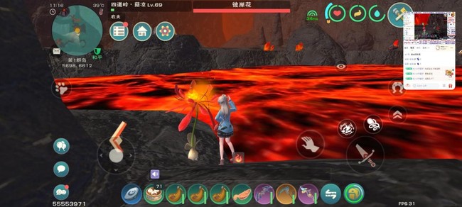 创造与魔法彼岸花位置大全及采摘方法