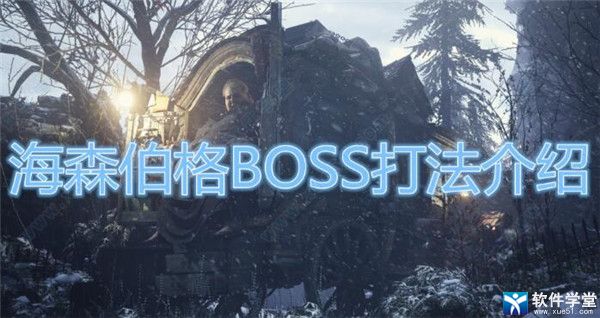 生化危**村庄诡影海森伯格打法攻略(生化危**村庄诡影海森伯格打法教程)