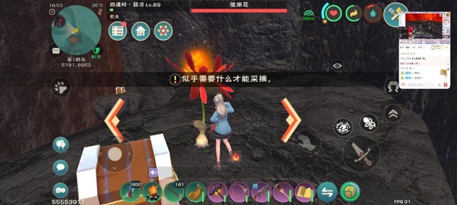 创造与魔法彼岸花位置大全及采摘方法