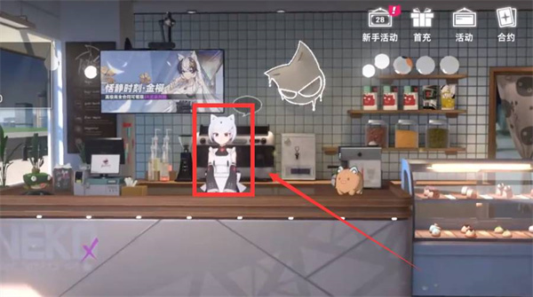 猫之城怎么提升好感度 猫之城好感度提升的方法