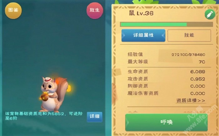创造与魔法炸弹松鼠进阶资质技能大全
