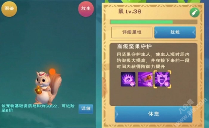 创造与魔法炸弹松鼠进阶资质技能大全