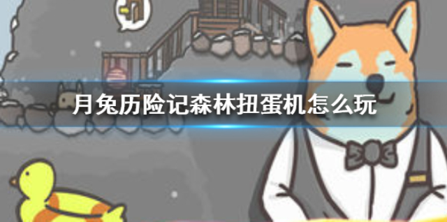 月兔历险记森林扭蛋机怎么玩 森林扭蛋机玩法