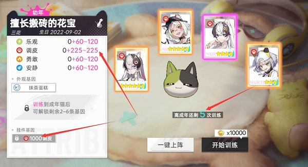 猫之城猫球挂件怎么获得 猫之城猫球挂件获取方法