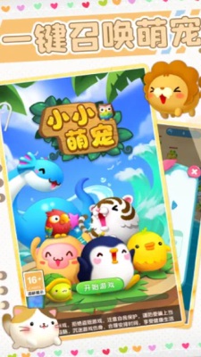 小小萌宠