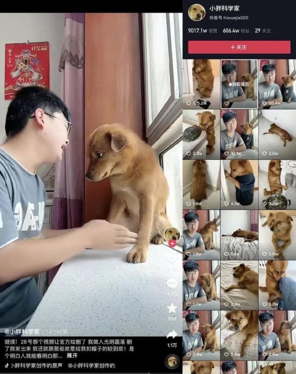 “委屈表情包”网红小狗疑遭针扎虐待，网友怒言：为了红不择手段！