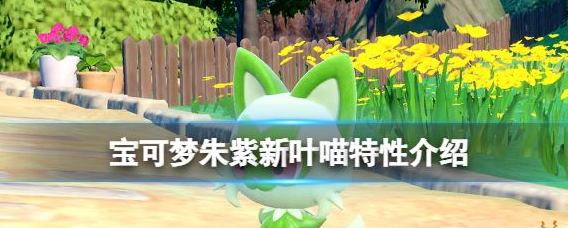 宝可梦朱紫新叶喵有什么特性 宝可梦朱紫新叶喵特性一览
