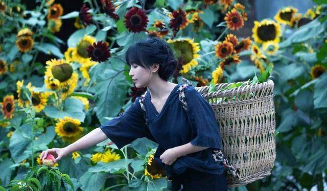 网红李子柒近况遭曝光，再次回归更新形势依旧不理想！