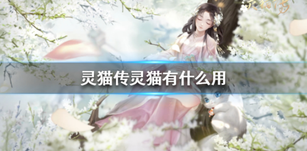 灵猫传灵猫有什么用 灵猫作用介绍
