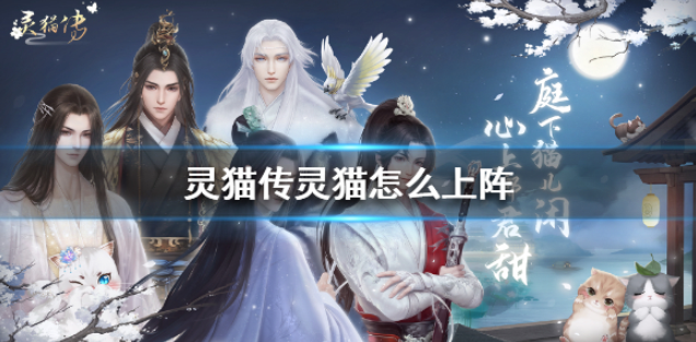 灵猫传灵猫怎么上阵 猫咪上阵方法介绍