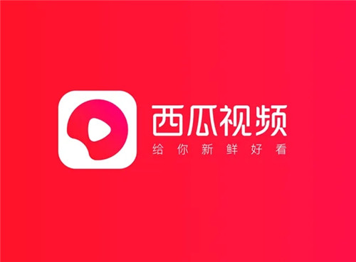 西瓜视频怎么下载视频到手机 西瓜视频下载视频到手机教程