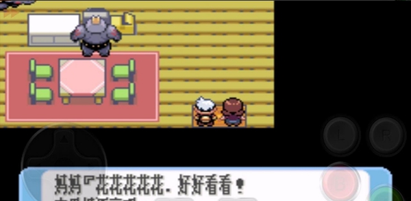 口袋妖怪火影忍者疾风传中文版