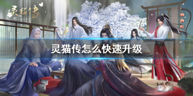 灵猫传怎么快速升级 灵猫快速升级方法介绍