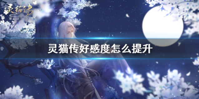灵猫传好感度怎么提升 好感度快速提升方法