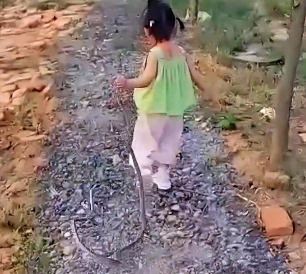 萌娃把蛇干当玩具吓跑妈妈！网友：初生牛犊不怕虎！