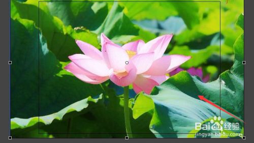 Animate图形文字添加遮罩层方法介绍