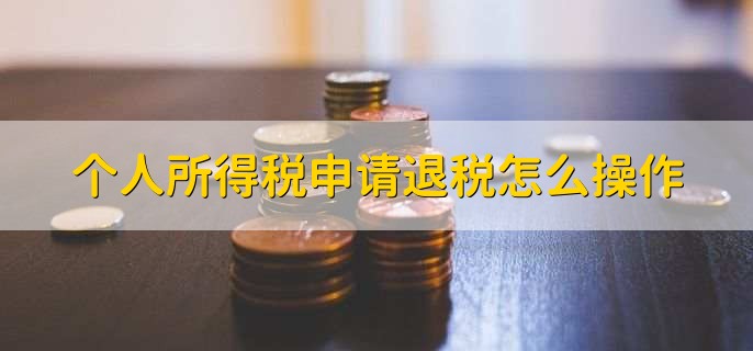个人所得税怎么申报退税-个人所得税申报退税方法