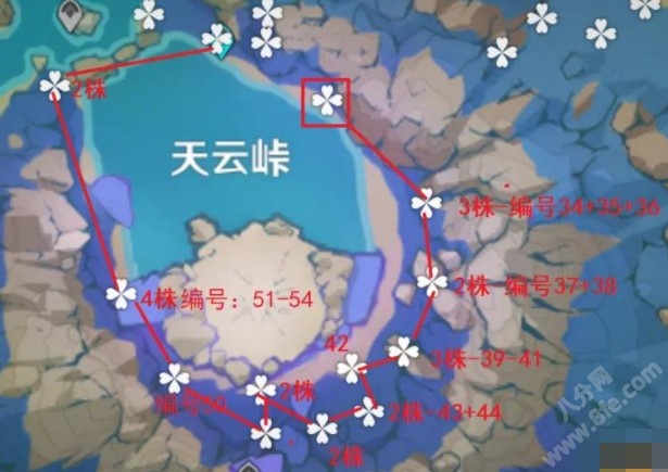 原神天云草实分布位置及采集路线推荐攻略