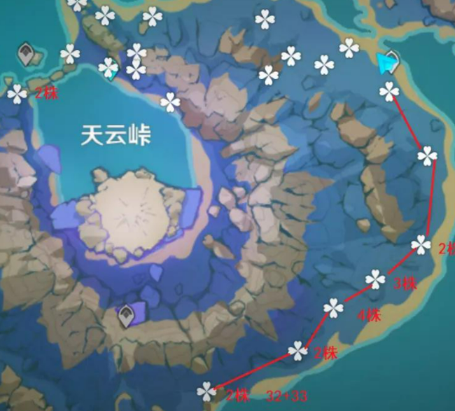 原神天云草实分布位置及采集路线推荐攻略
