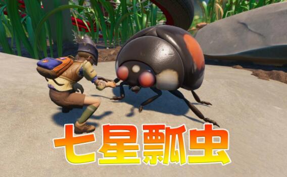 禁闭求生瓢虫套装效果 禁闭求生瓢虫套装材料