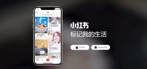 小红书自动刷新如何关闭 小红书自动刷新关闭方法
