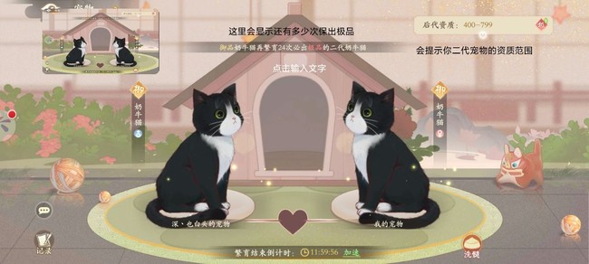 凌云诺宠物繁育规则攻略
