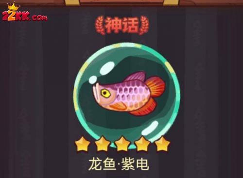 咸鱼之王龙鱼紫电怎么搭配 龙鱼紫电搭配攻略大全