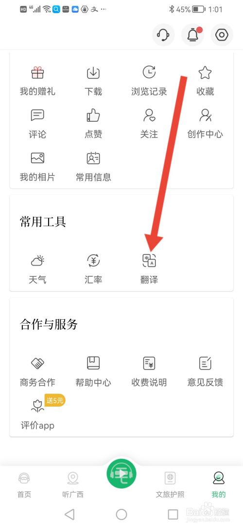 三毛游，在哪里选择翻译语音