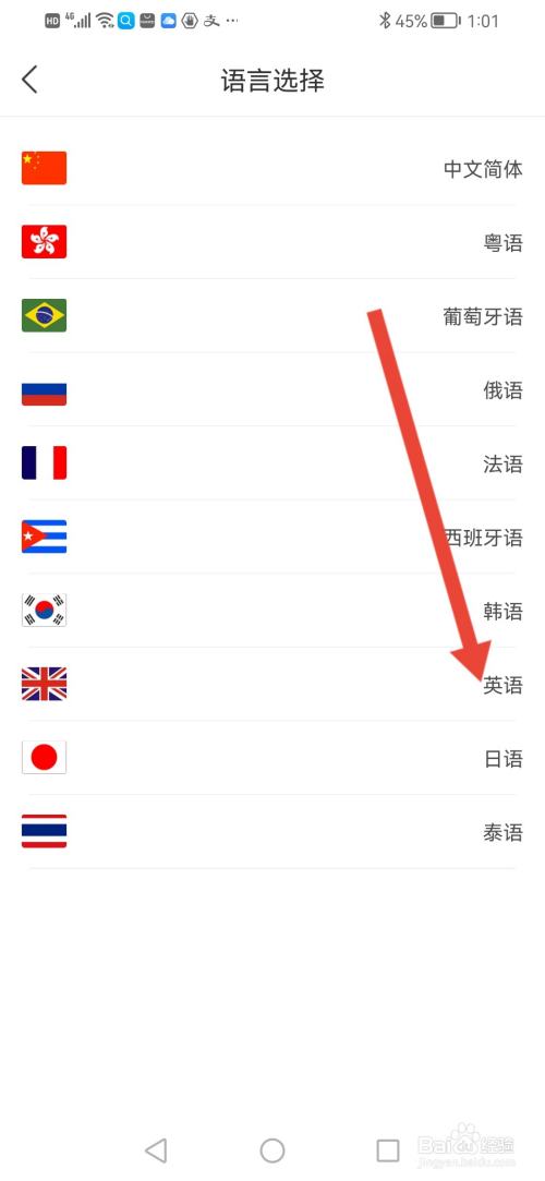 三毛游，在哪里选择翻译语音