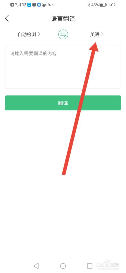 三毛游，在哪里选择翻译语音