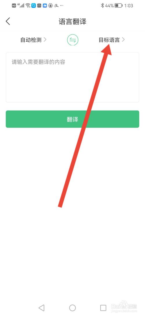 三毛游，在哪里选择翻译语音