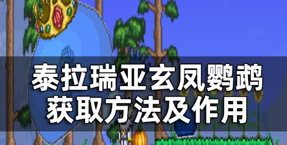 泰拉瑞亚玄凤鹦鹉怎么获得 玄凤鹦鹉获取攻略