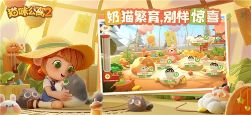 猫咪公寓2新手攻略大全 猫咪公寓2玩法技巧分享